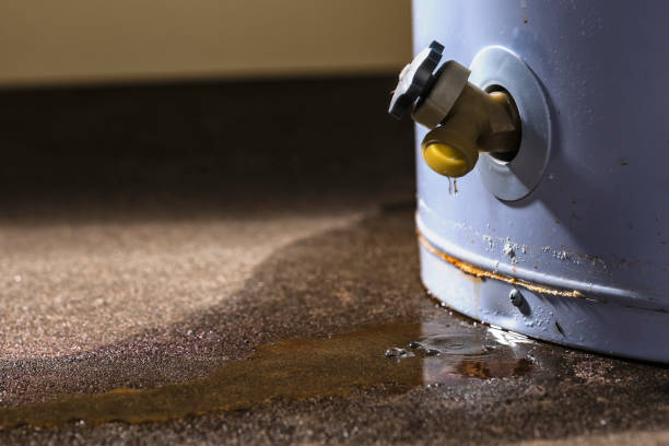 Tracyton, WA Water damage restoration Pros