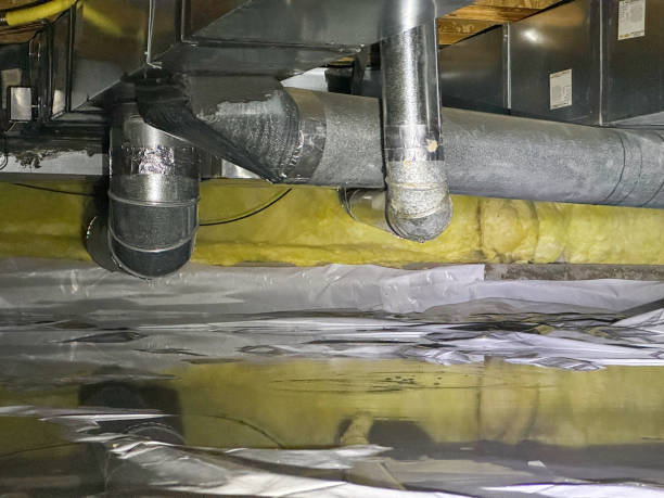 Best Carpet water damage restoration  in Tracyton, WA