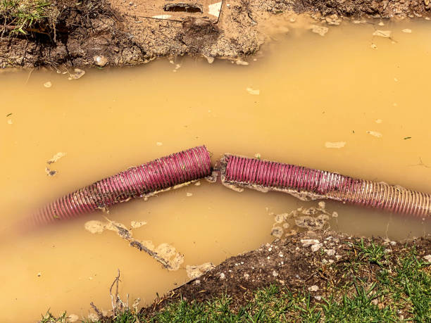 Water damage restoration insurance claims in Tracyton, WA